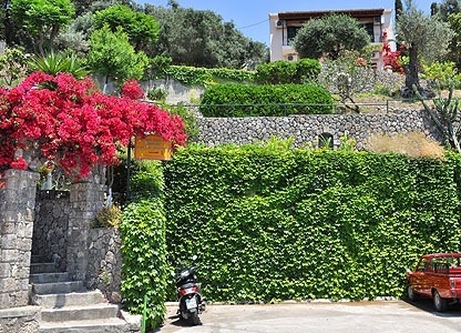 Corfu Holiday Rentals -  - Theodore & Niki Apartments & Studios