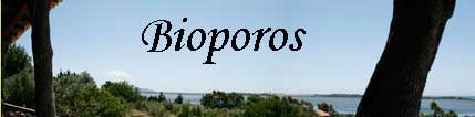 Bioporos Apartments logo
