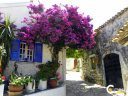 Corfu Villages - Village Afionas