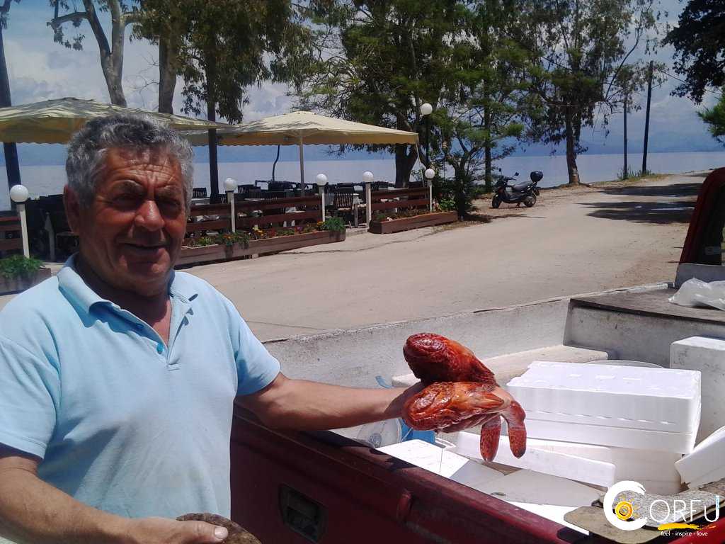 Traveler: Spiros Agathos at Strand Boukari